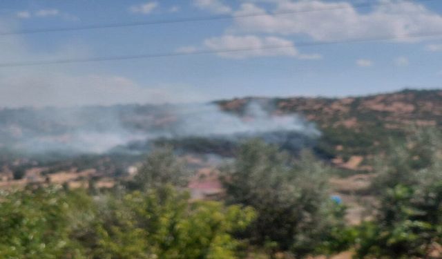 Diyarbakır'da Korkutan Örtü Yangını! Onlarca Dönüm Arazi Alevlere Teslim Oldu