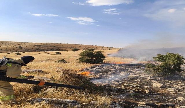 Mardin'de Çıkan Örtü ve Anız Yangını Kısa Sürede Kontrol Altına Alındı