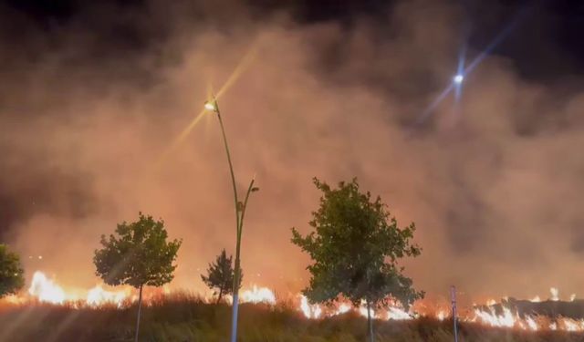 Diyarbakır'da Gece Yarısı Korkutan Yangın!