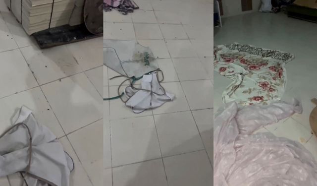 Şok İddia! Malatya'daki Fırında Böcek Görüntülendi, Mahalle Ayağa Kalktı
