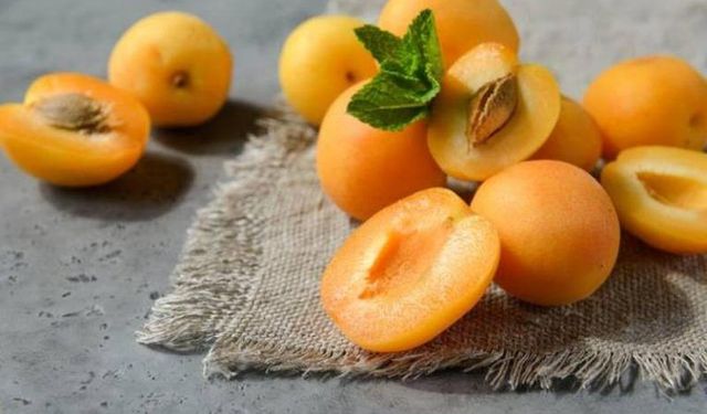 Malatya’da 17, 18, 19, 20 ve 21 Temmuz dolu dolu geçecek