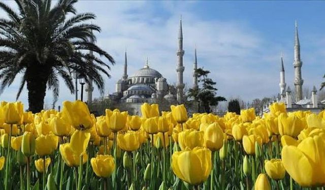 Osmanlı'da Bir Çiçek Yüzünden Neden Devlet Devreye Girdi?