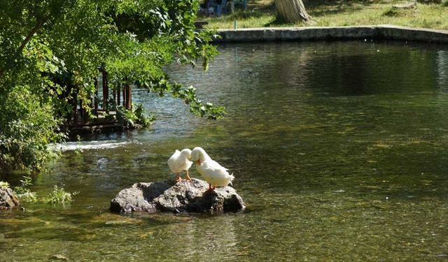 Malatya'nın Gizli Serinlik Rotaları: Kavurucu Yaz Sıcağından Kaçmak İsteyenler Bu Noktalara Akın Ediyor