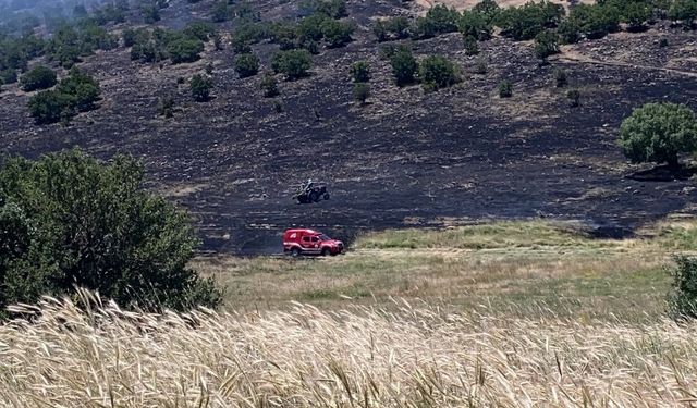 Malatya'da Korkutan Orman Yangını! Alevlere Anında Müdahale Edildi