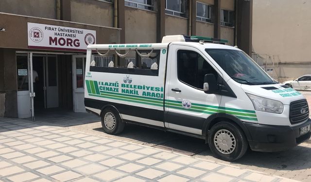 Elazığ-Bingöl Yolunda Feci Kaza! 2 Ölü