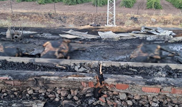 Elazığ’da 10 Günlük Umut Yangında Kül Oldu! 3 Gebe İnek Telef Oldu