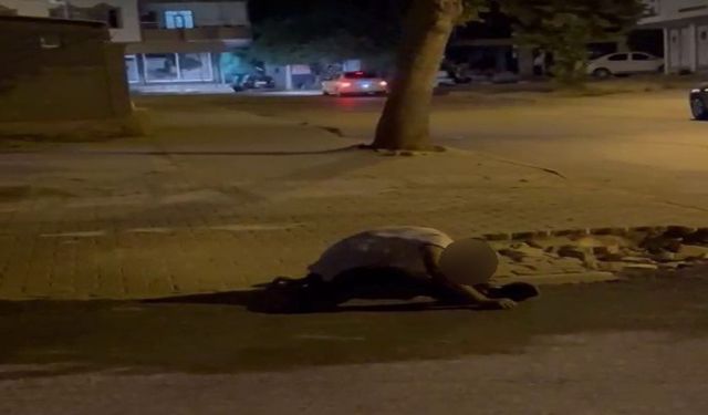 Adıyaman’da Sokak Ortasında Yığılıp Kaldı!
