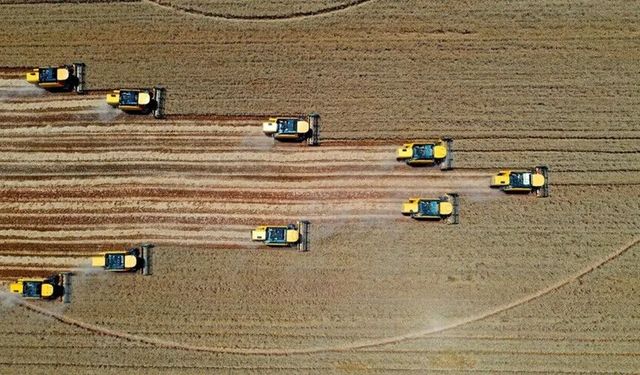 Türkiye Tarımsal Hasılada Avrupa’nın Zirvesinde: Malatya’nın Tarımsal Gücü De Dikkat Çekiyor