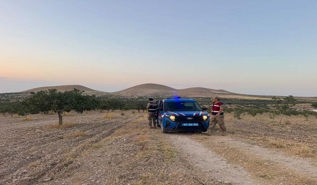 Fıstık Sezonunda Güvenlik Alarmı! Jandarma Bahçelerde Nöbette