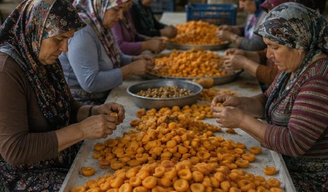 Malatya'nın Altını Değer Kaybediyor! BBP'den Kayısı İçin Sert Çıkış