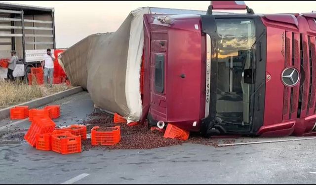 Malatya’da Kayısı Yüklü Tır Devrildi! Tonlarca Ürün Yola Saçıldı