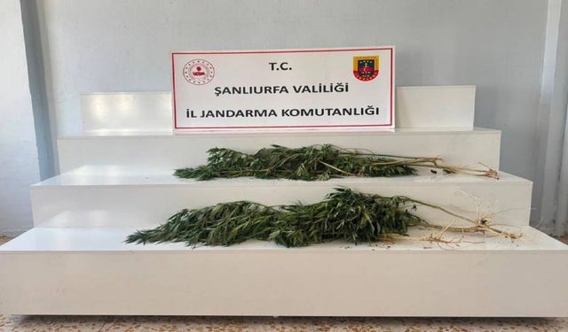 Peş Peşe Operasyon! 2 Şüpheli Gözaltına Alındı