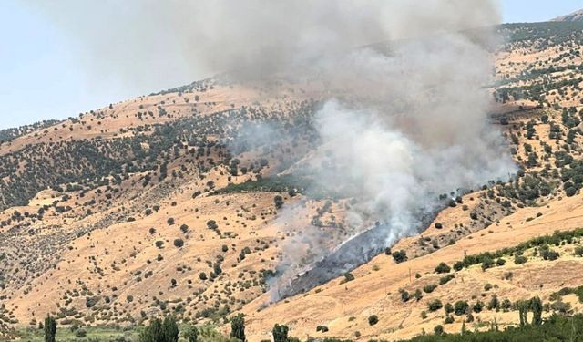 Pütürge’de Yine Yangın Telaşı: Ormanlık Alan Alevlere Teslim Oldu