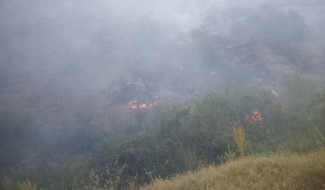 Pütürge'deki Yangında 20 Araç ve 55 Personel Seferber Oldu