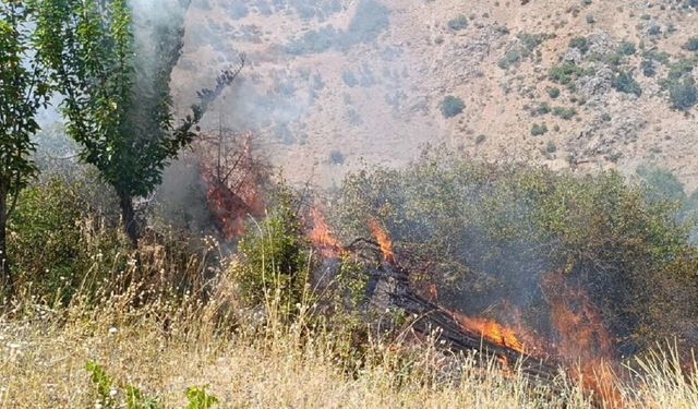 Malatya'da Tarım Alanlarında Yangın! Çok Sayıda Meyve Ağacı Zarar Gördü
