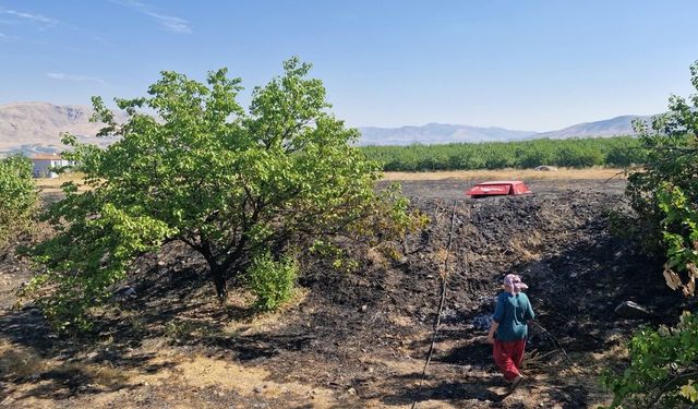 Malatya Kale'de Alevler Korkuttu! Otluk Alan ve Meyve Ağaçları Zarar Gördü