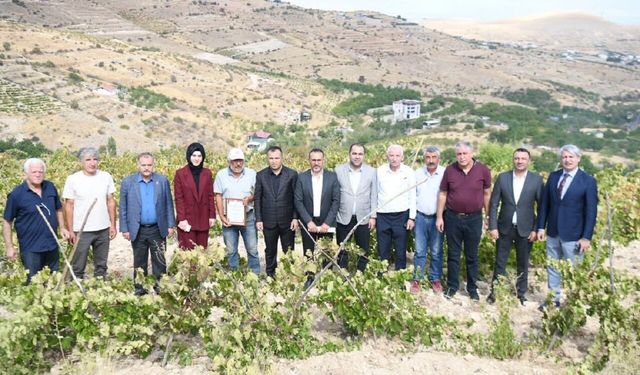 Malatya’nın Tescilli Üzümünde Yeni Dönem: Banazı Karası İçin Hedef Büyütüldü