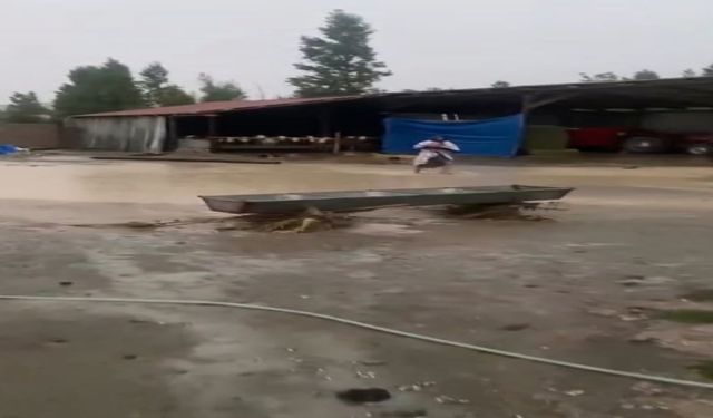Şiddetli Yağış Alarmı! Sel Suları Tarım Arazilerini Vurdu