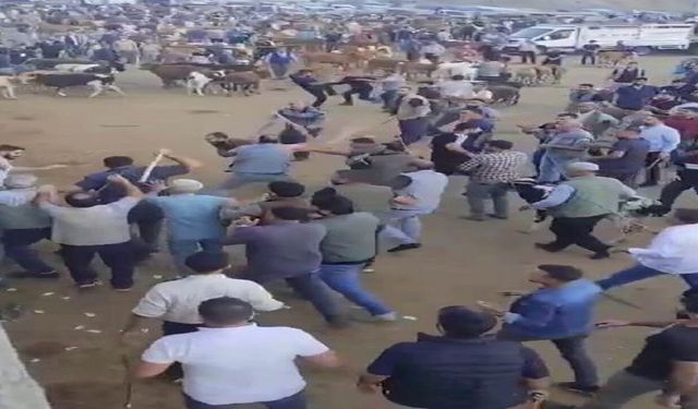Diyarbakır’da Hayvan Borsasında Gerilim Tırmandı! Taşlar ve Sopalar Havada Uçuştu