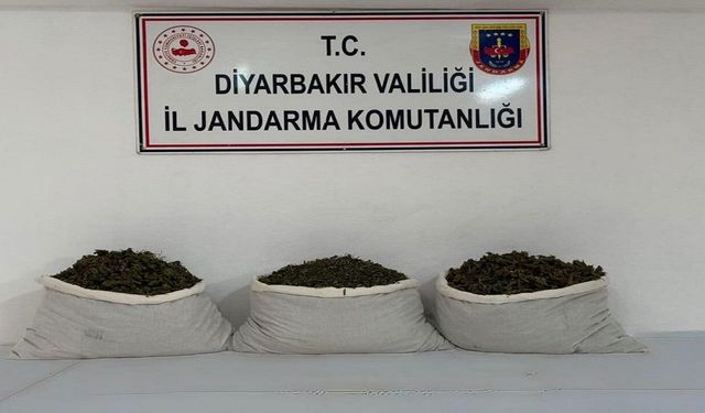 Jandarmadan Uyuşturucu Operasyonu! Ele Geçirilen Miktar Dikkat Çekti