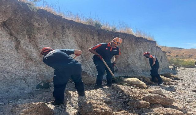 Toprak Kayması Hayvanları Toprağa Gömdü: 6 Küçükbaş Telef Oldu