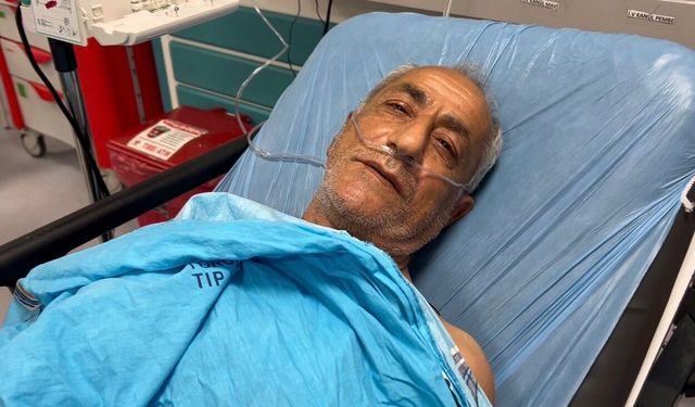 Arıların Saldırısına Uğradı, Ölümden Döndü! O Anlar Kamerada