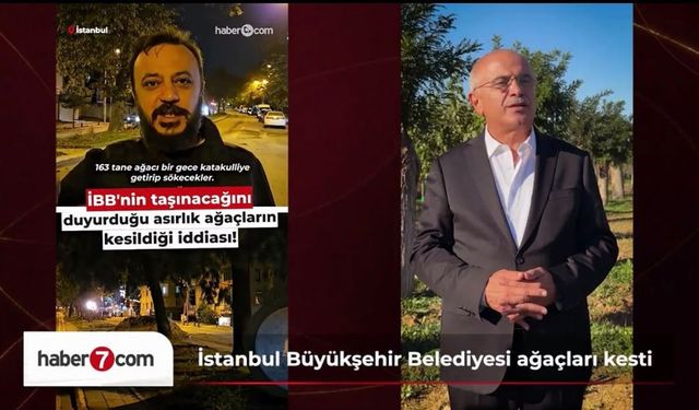 İstanbul’daki Ağaçların Kesilmesi Tartışması Büyüdü! Malatya’nın Uygulaması Takdir Topladı