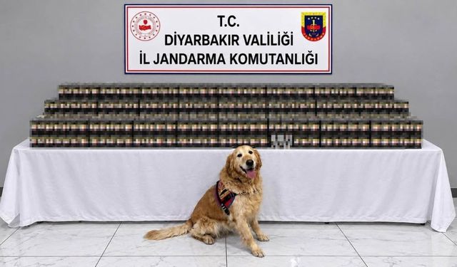 Diyarbakır’da Jandarma Harekete Geçti! Ele Geçirilenler Dikkat Çekti