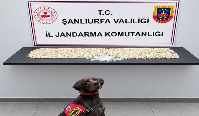 Şanlıurfa’da Uyuşturucu Baskını! Evde Bakın Ne Bulundu
