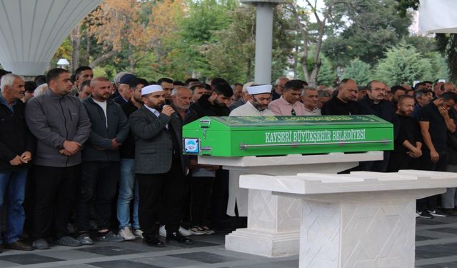 Ağaca Çıkmıştı, Kurtarılamadı! 56 Yaşındaki Öğretmen Hayatını Kaybetti