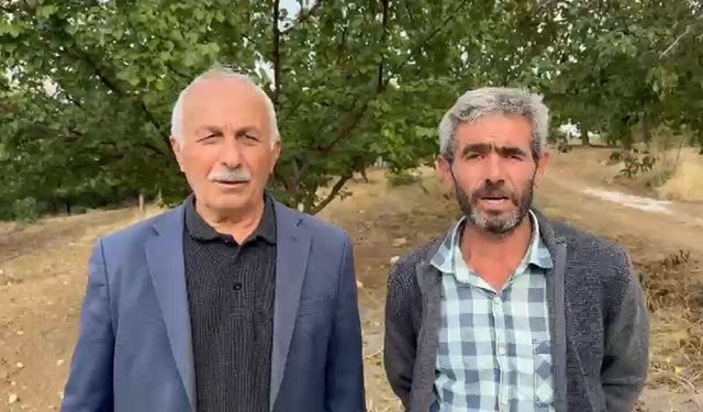 Malatya'da Kurtlardan Kaçtı, Dağda Mahsur Kaldı! Keçi İçin Seferber Oldular