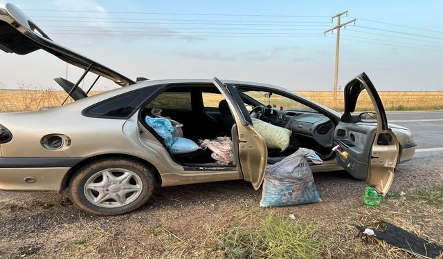 Şanlıurfa’da 75 Kilo Fıstığı Araca Yüklerken Yakalandılar!
