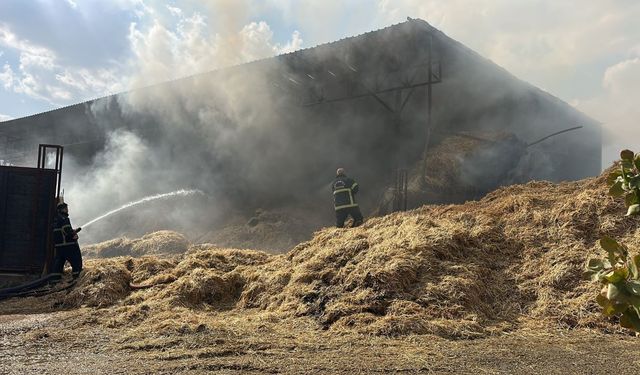 Gaziantep’te Çiftlikte Yangın! Samanlık Alevlere Teslim Oldu
