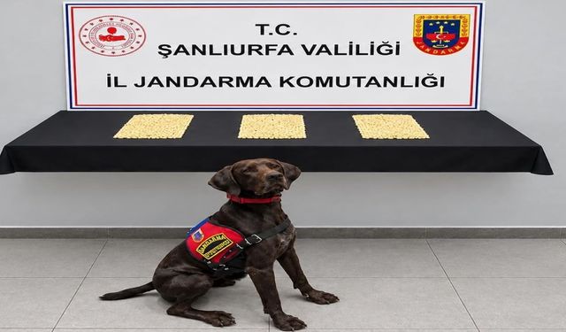 Şanlıurfa’da 2 Bin 970 Hap Ele Geçirildi! 2 Şüpheli Gözaltında