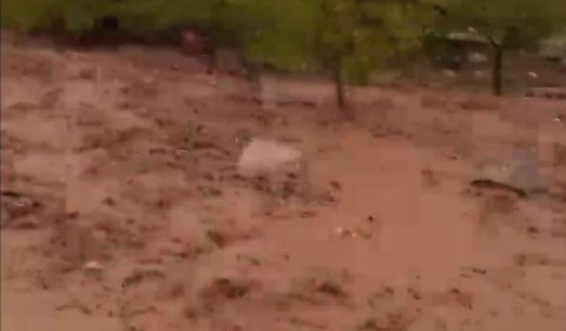 Malatya’da Sağanak Alarmı! Dereler Taştı, Konteynerleri Su Bastı