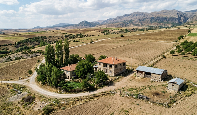 Malatya’da Tarlanın İçinden Evler Çıktı! Değeri Milyonları Aştı