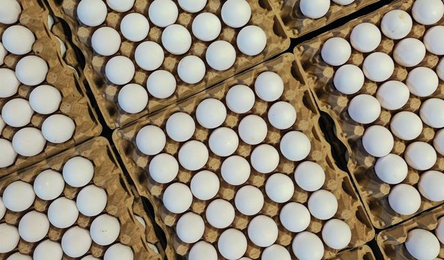 Türkiye’nin Yumurta İhracatında Dikkat Çeken Artış! 9 Ayda 418 Milyon Doları Aştı