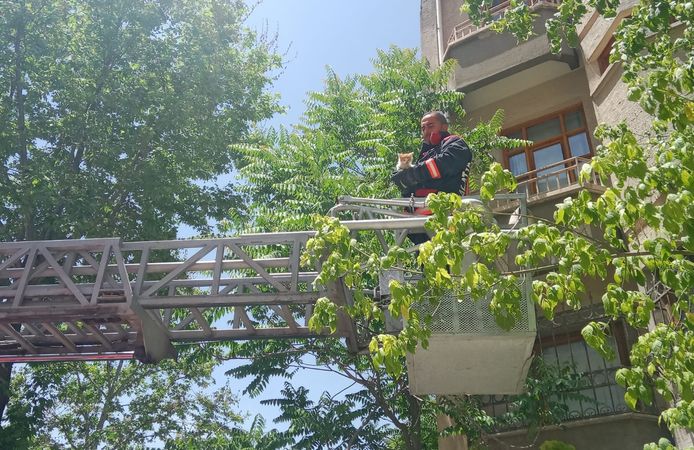 İtfaiyenin kedi mesaisi başladı!