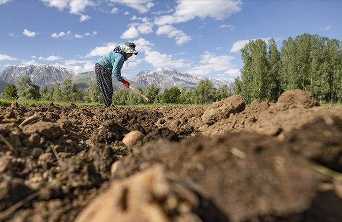 Malatya Dikkat: Destek Ödemesi Bugün Yapılacak!