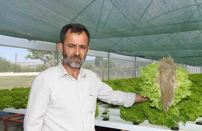 Topraksız tarımla 70 günden 30 güne düşürdü!