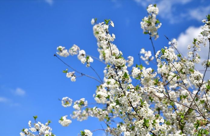 2026 Cemre Tarihleri: Baharın Müjdecisi Malatya’ya Ne Zaman Geliyor?