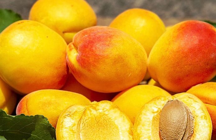 Kayısıdan Ulu Camiye, Kanyonlardan Sofralara: Malatya Denince Akla Gelenler