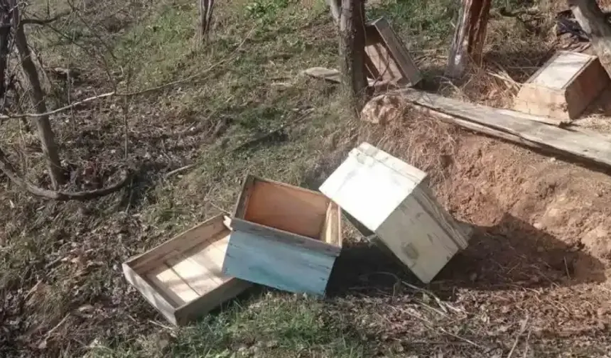<p>Artvin’de kış uykusundan uyana ayılar yayla evlerine dadandı.  Yiyecek aramak için yayla evlerine giren ayılar, kapılar kırdı, arı kovanları ve eşyalara zarar verdi.</p>