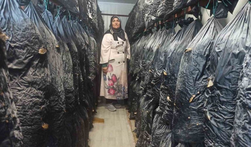 Malatyalı kadınlar konteynerde üretim yapıyor