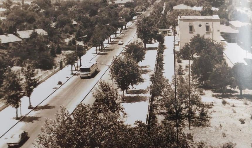 Malatya’da en çok bu özdeyiş ve atasözleri kullanılıyor