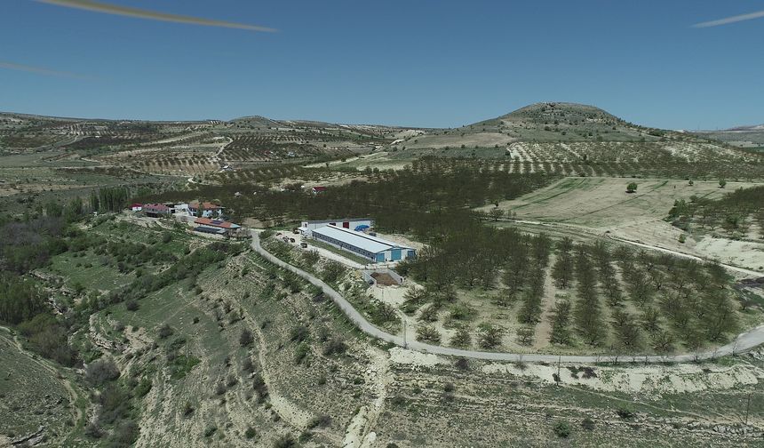 Malatya’da hibeyle modern besicilik tesisi kurdu