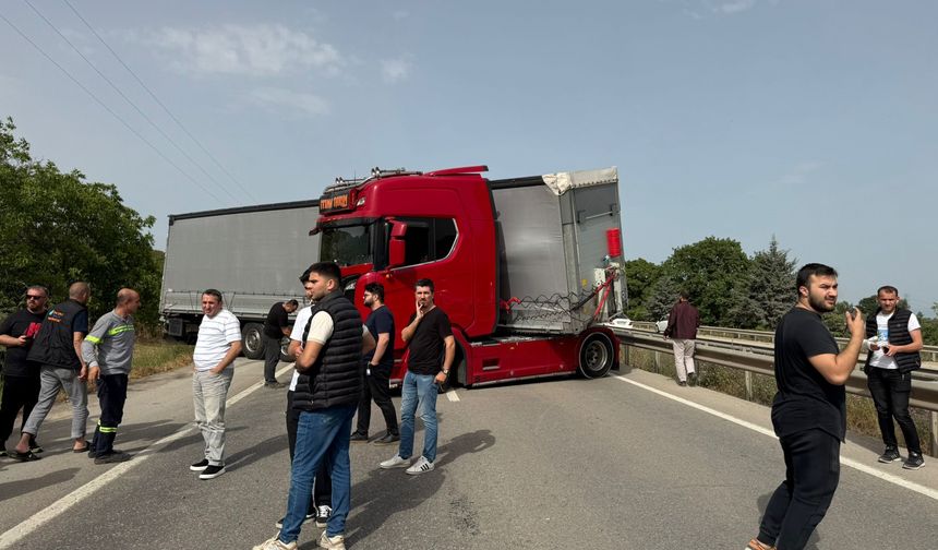 Bir arının yaptığına bak...Yüzlerce kişiyi mağdur etti