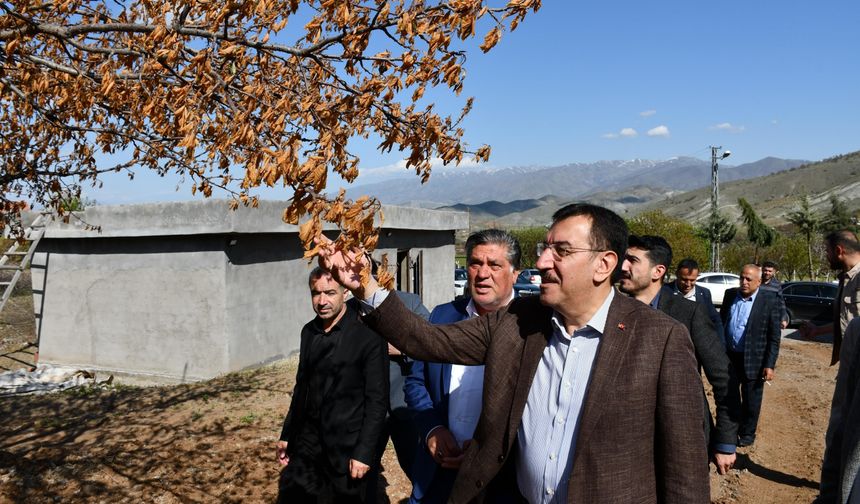 Malatyalılar müjde: Zira don desteği hesaplara yatıyor! İşte tarih