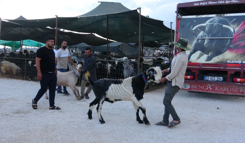 Bayram yaklaştıkça kıran kırana pazarlık kızışıyor!