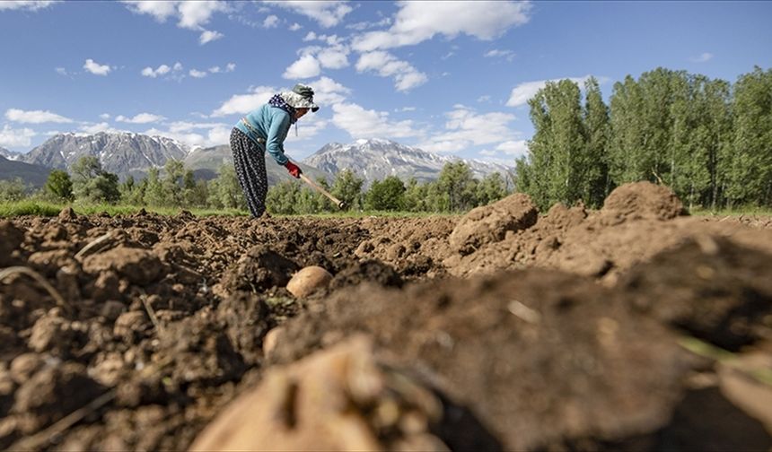 Malatya Dikkat: Destek Ödemesi Bugün Yapılacak!